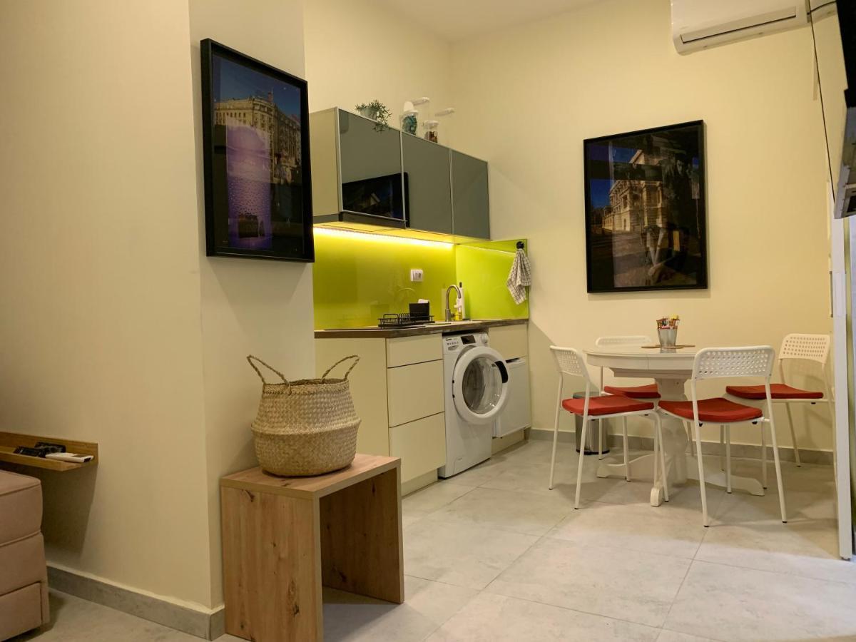 Sunlit Artist Studio Apartment Belgrade Luaran gambar