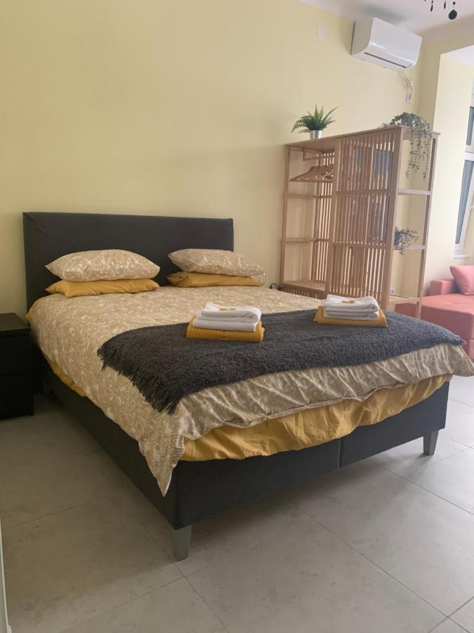 Sunlit Artist Studio Apartment Belgrade Luaran gambar