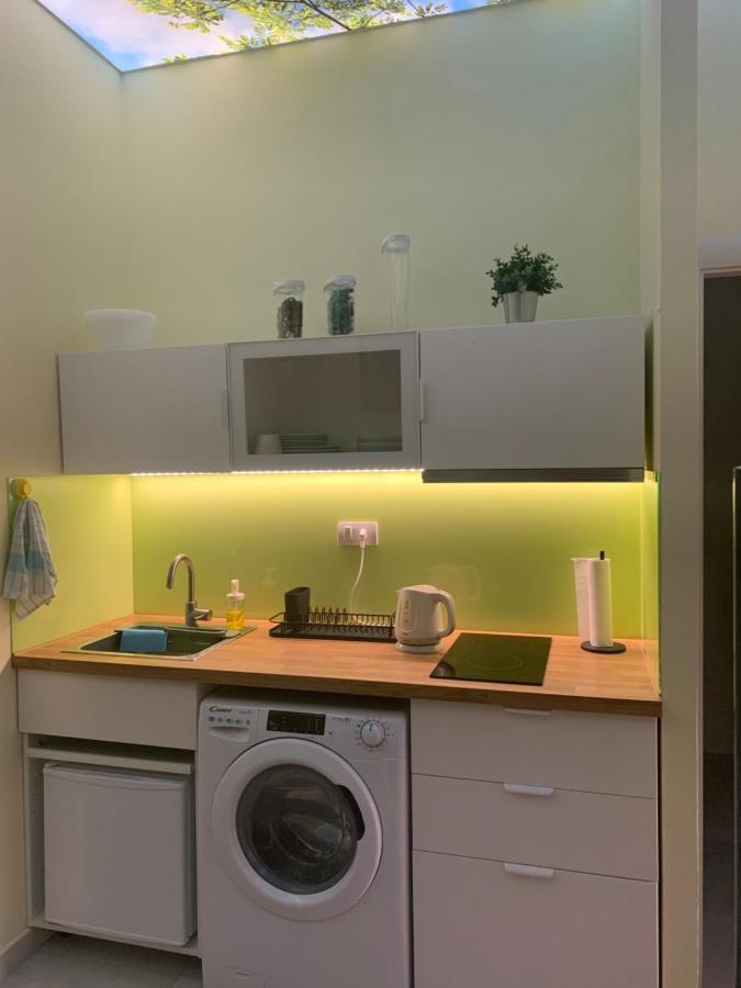 Sunlit Artist Studio Apartment Belgrade Luaran gambar