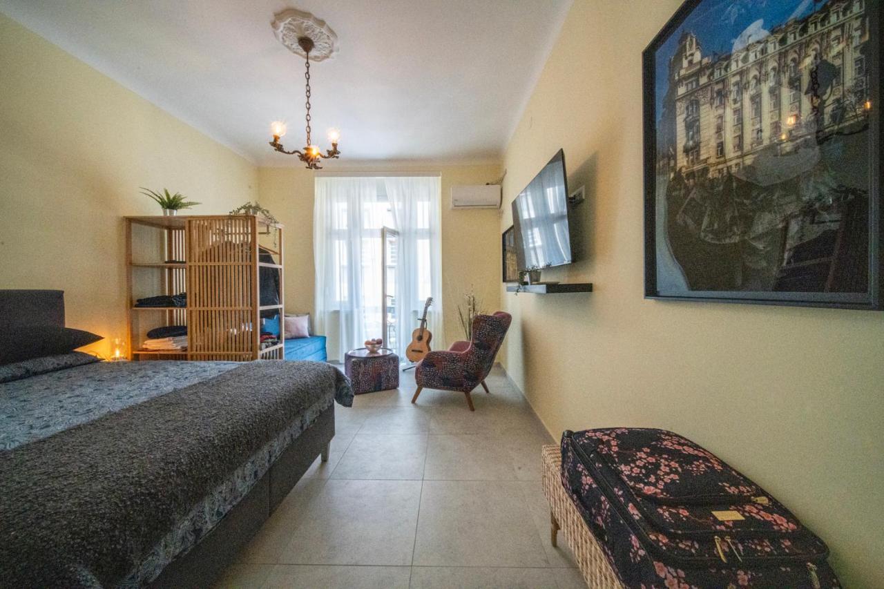 Sunlit Artist Studio Apartment Belgrade Luaran gambar